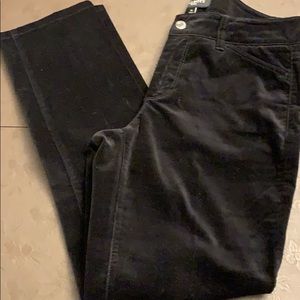 Women’s Talbots Curvy Petites Velveteen Pants